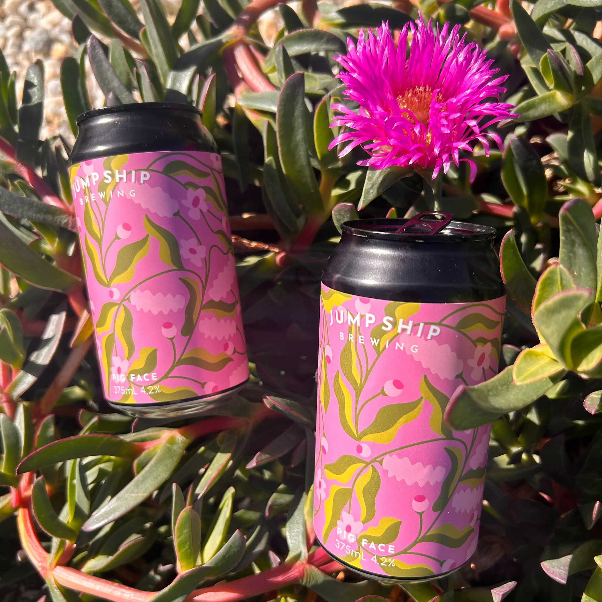 Pigface Raspberry Lemon Seltzer 4.2%